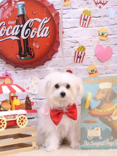 20230919小雪ちゃん